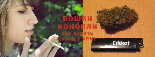 индика Волоколамск