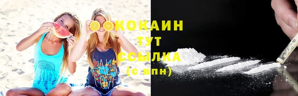 индика Волоколамск