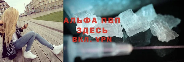 индика Волоколамск