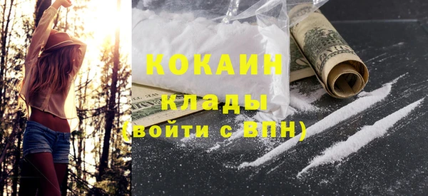 индика Волоколамск