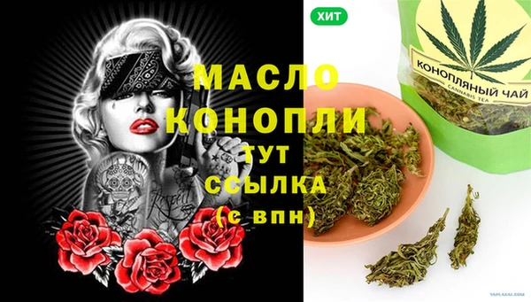индика Волоколамск