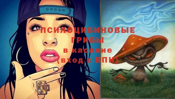 индика Волоколамск
