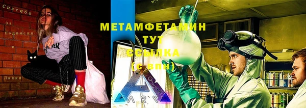 индика Волоколамск