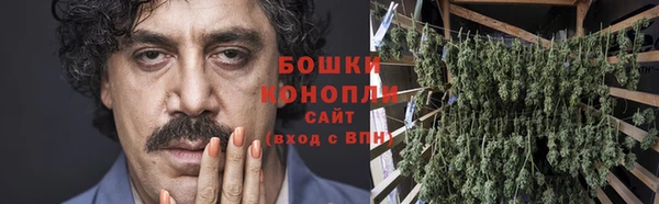 индика Волоколамск