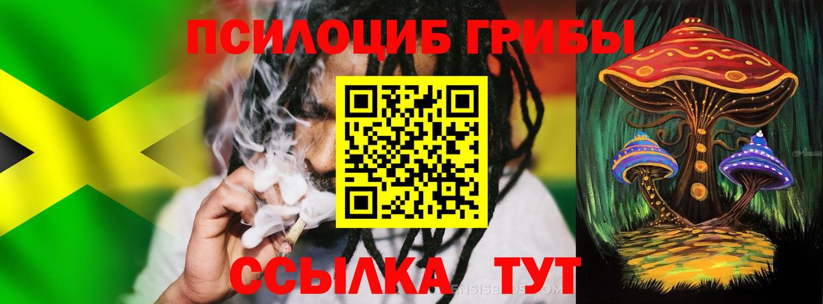 наркота  Вход с VPN  Галлюциногенные грибы Psilocybine cubensis  Муром  Псилоцибиновые грибы Psilocybe 